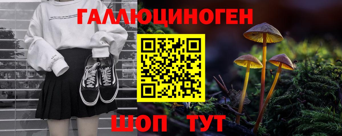 Галлюциногенные грибы MAGIC MUSHROOMS  Вход с VPN  цена   Сланцы 