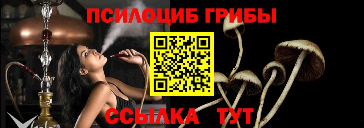 Псилоцибиновые грибы ЛСД Сланцы